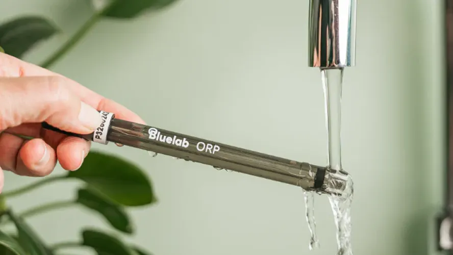 Bluelab ORP Meter 3